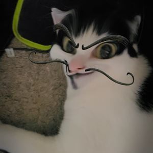 Meet your Posher, Ed